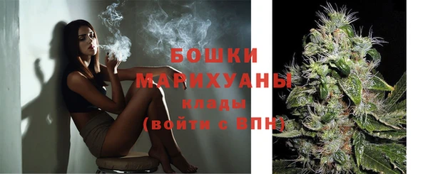 твердый Козловка
