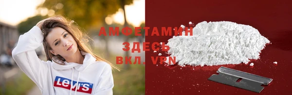 прущие грибы Козельск