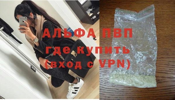 прущие грибы Козельск