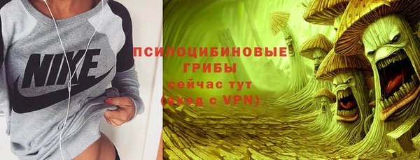 прущие грибы Козельск