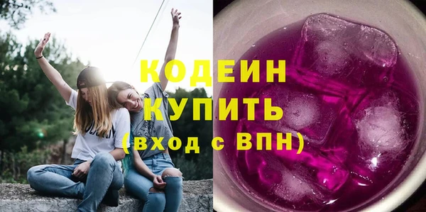 прущие грибы Козельск