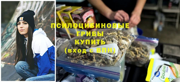 твердый Козловка