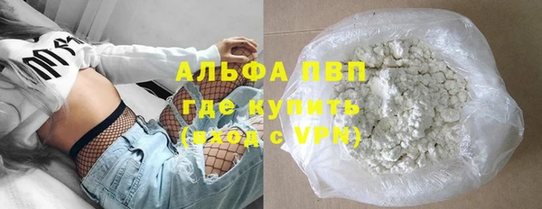 прущие грибы Козельск