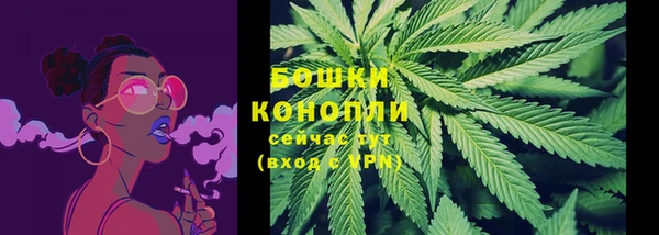 прущие грибы Козельск