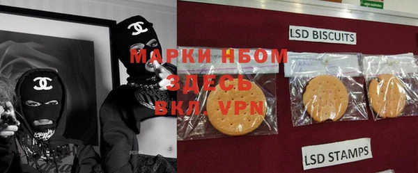 прущие грибы Козельск